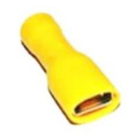 TERMINAL LUCAS HEMBRA AMARILLO (100 UNIDADES)